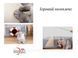 Будиночок для кота Smart Comfort Animals GX-97 оливковий ігровий комплекс Будиночок для кішки з секретним тунелем GX-97 оливковый фото 4
