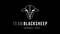 Team BlackSheep